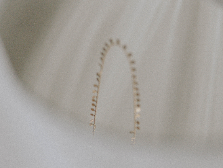 Murstens halskæder – et smykke til enhver lejlighed